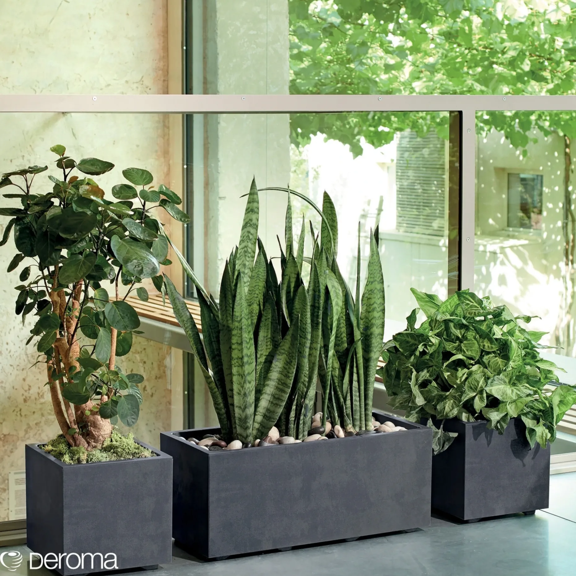 DEROMA MILLENIUM 208-619 PLANTEKASSE PLASTIK ANTRACITGRÅ 39X39X39 CM