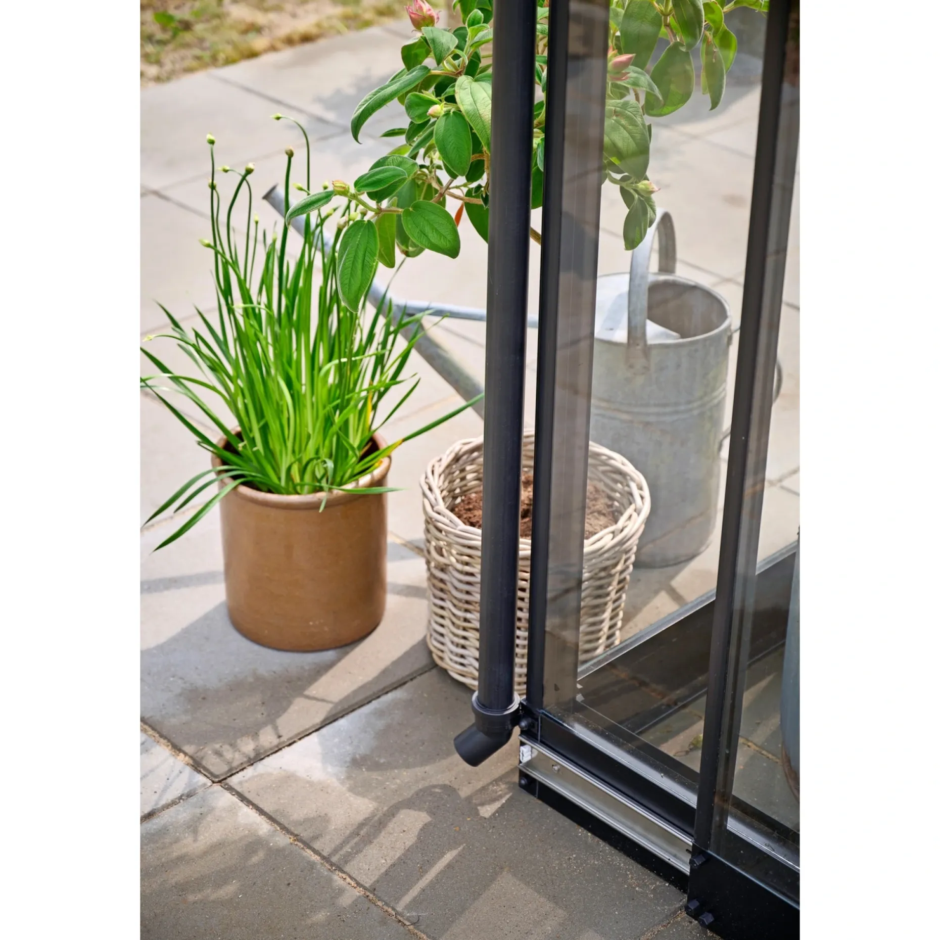 HALLS QUBE SQUARE DRIVHUS 3 MM HÆRDET GLAS HELE BANER SORT 6,3 M2