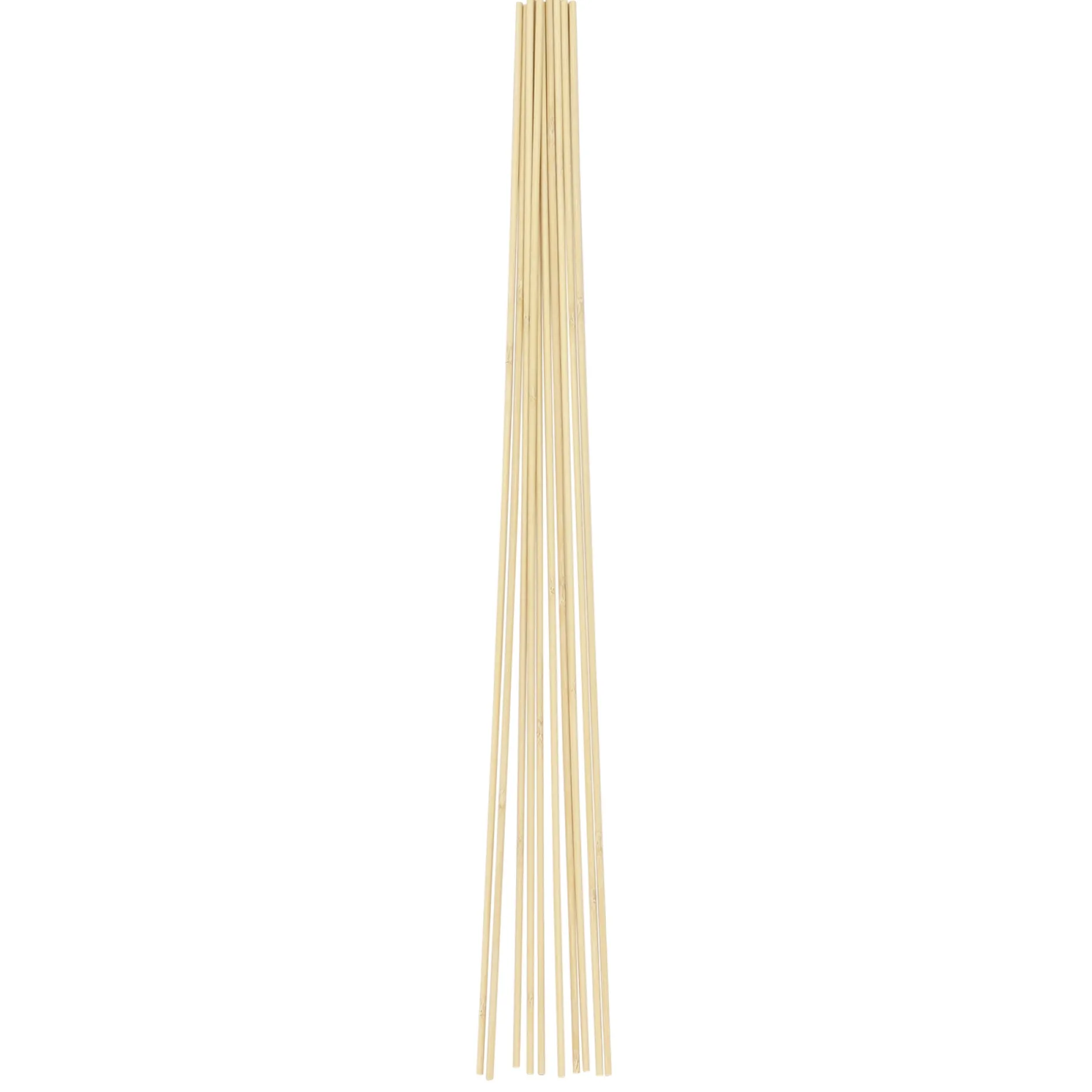 HOME IT GARDEN BLOMSTERPINDE 50 CM