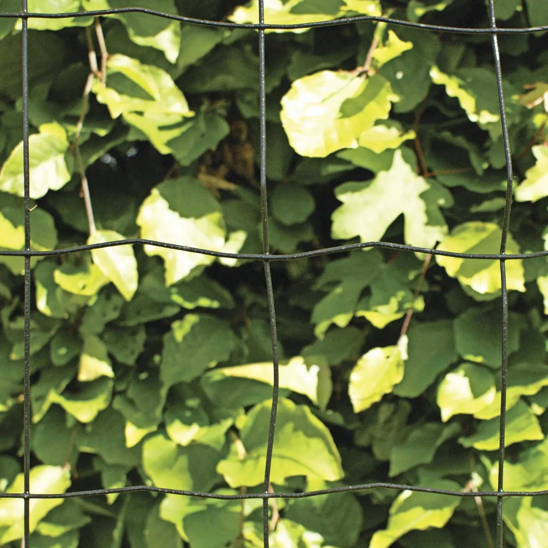 HORTUS PVC FRI TRÅDHEGN SORT PLASTBELAGT 0.90 X 20 M