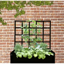 LAND ESPALIER