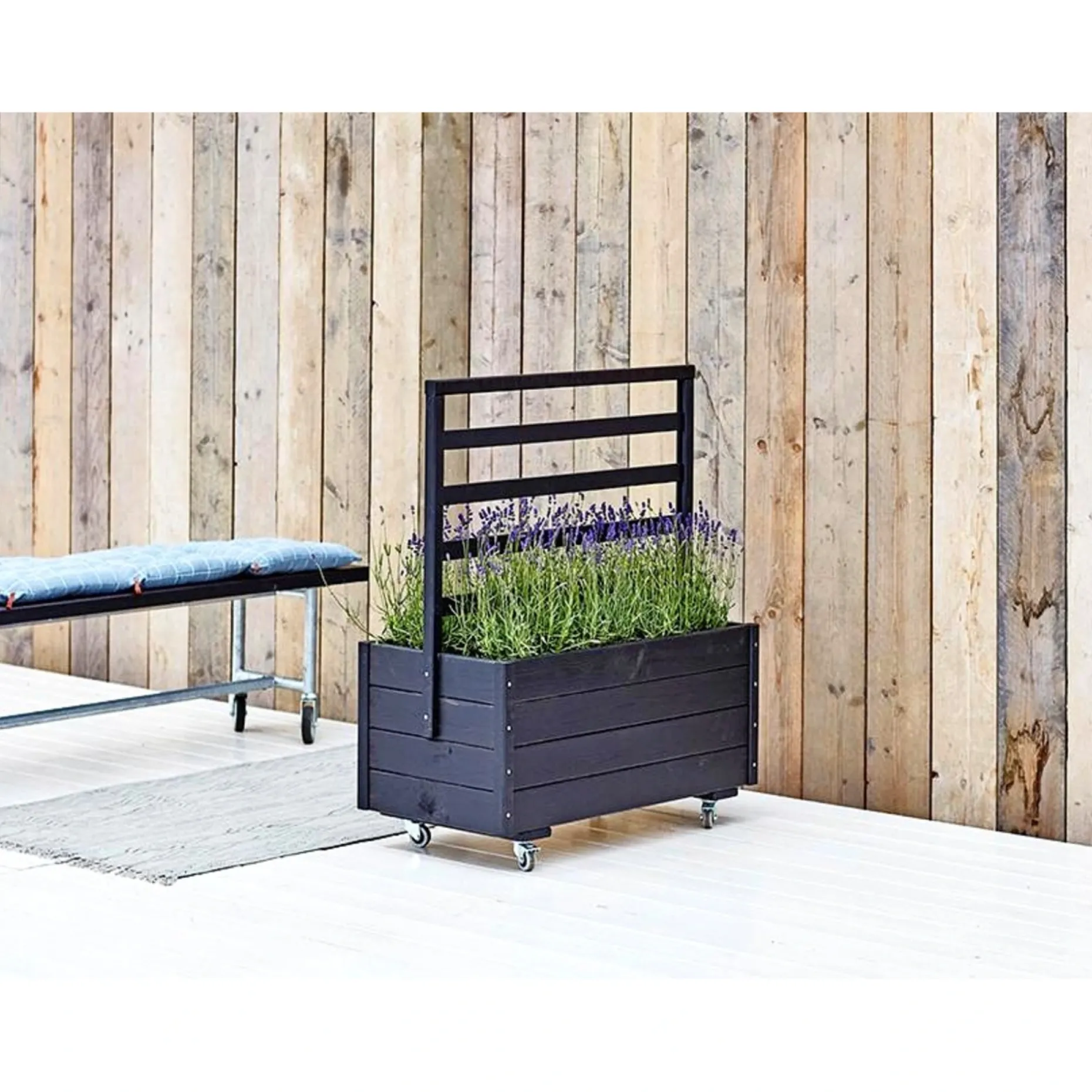 PLUS MED ESPALIER BLOMSTERRUMDELER SORT 105 X 48 X 88 CM