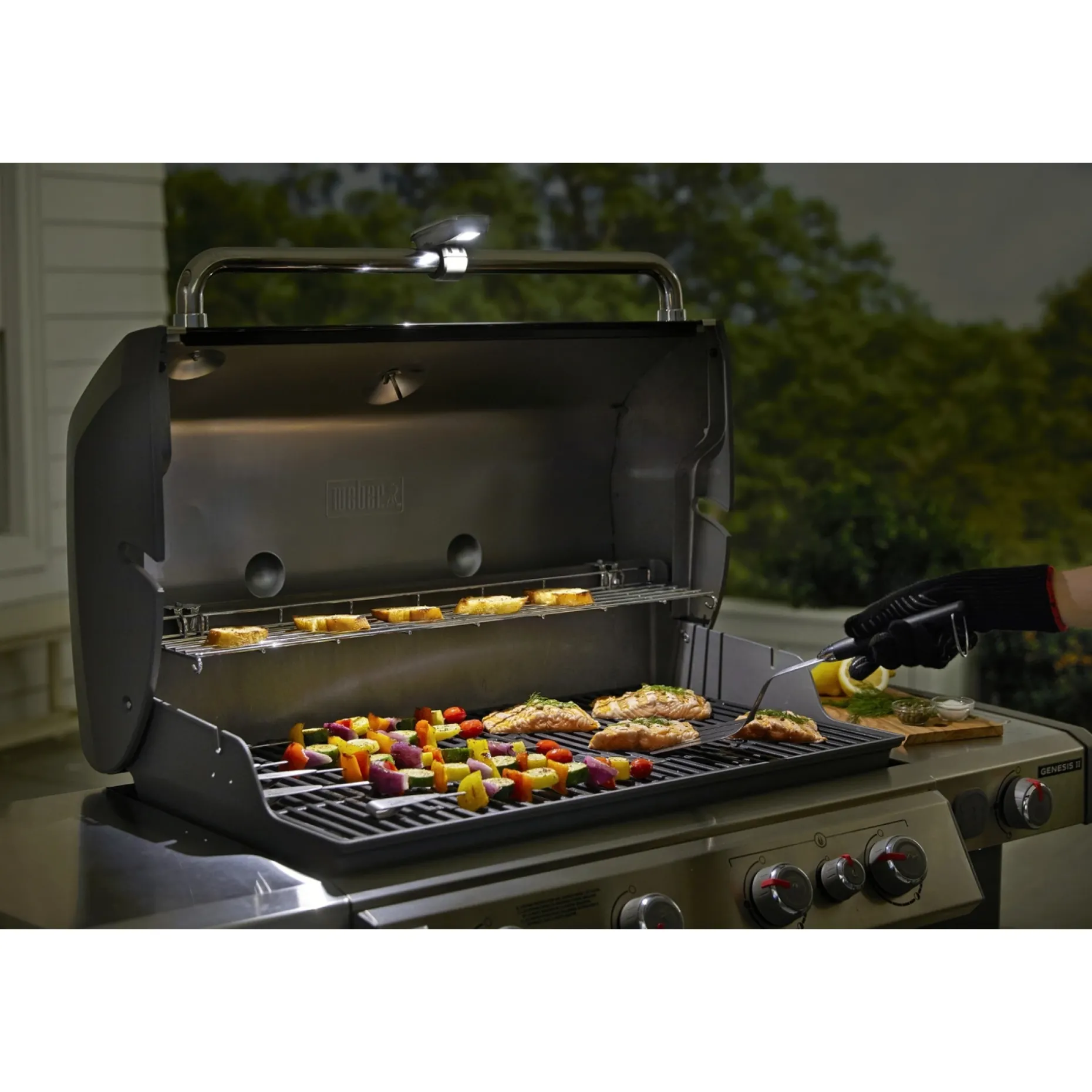 WEBER LYS